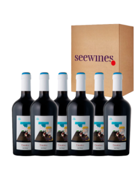 Pack 6 bottles Due Trulli Primitivo Cantina Albea