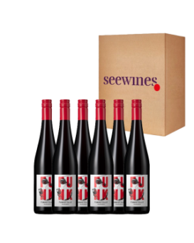 Pack 6 bottles Funkstille Blaufränkisch