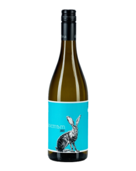 Devina The Guest Dimyat