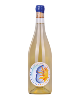 Ахинора Equinox Мискет Врачански