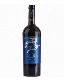 Алира Конкордия