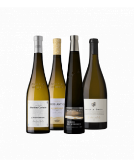 Селекция от 4 вина на Анселмо Мендеш