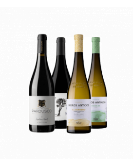 Селекция от 4 вина на Анселмо Мендеш