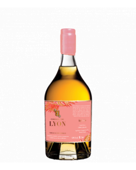 Armagnac De Lion VSOP 0,7