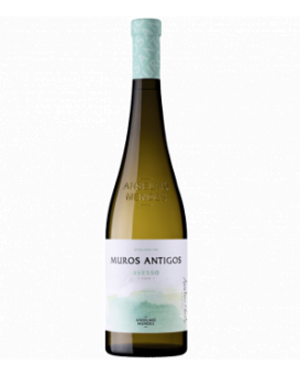 Мурош Антигош Авесо Анселмо Мендеш