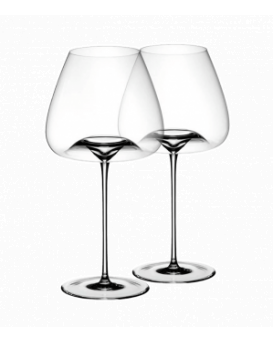 Zieher Glass BALANCED 2 pack