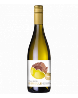 Bergule Совиньон Блан Вила Мелник