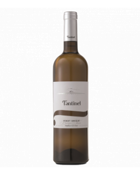 Borgo Tesis Pinot Grigio Friuli