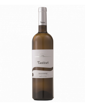 Borgo Tesis Sauvignon Blanc Friuli