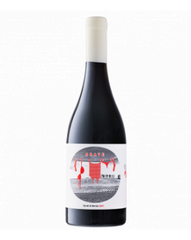 Brave Syrah, Merlot Lozeto