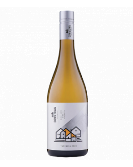 Tamyanka Downtown Urban Winery