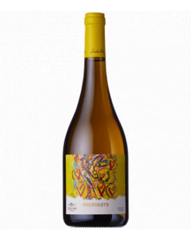 Emilio Moro Codello Polvere