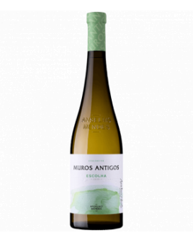 Виньо Верде Мурош Антигош Есколя Анселмо Мендеш