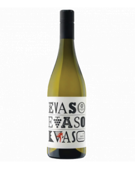 Evaso Bianco Veronese Canoso