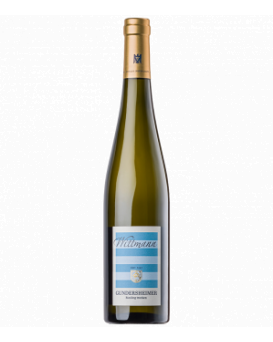 Gundersheimer Riesling trocken Wittmann