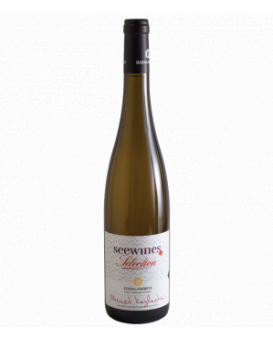 Haralambievi H's Kailash Misket