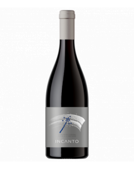 Cabernet Franc Incanto Medi Valley