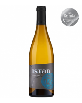 Бонония Истър Пино гри