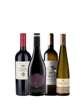 Favorite International