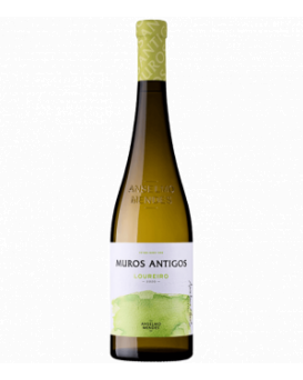 Лурейро Мурош Антигош Анселмо Мендеш