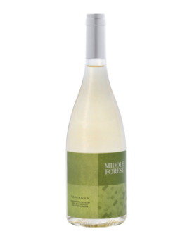 Middle Forest Tamyanka Manastira