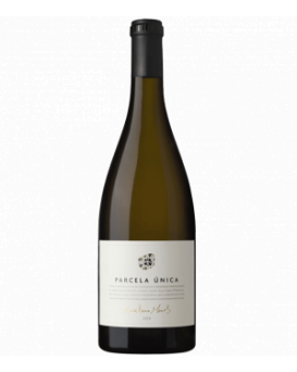 Алвариньо Парсела Уника Анселмо Мендеш