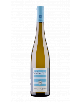 Grauer Burgunder Trocken