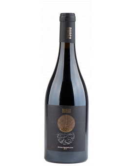 Айяно Широка Мелнишка Лоза Магнум