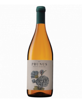 Prunus Private Selection White DOC Dao Gota