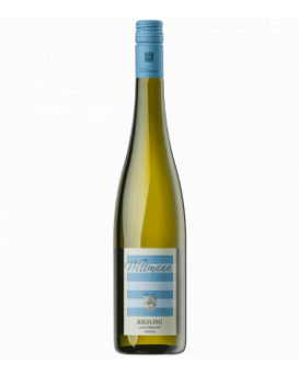 Riesling vom Kalkstein trocken
