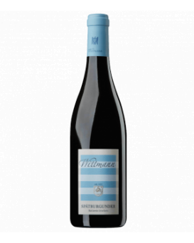 Spatburgunder trocken Wittmann
