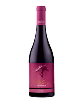 Stallion Malbec Angels Estate + glass