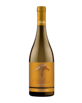 Stallion Selection Chardonnay Angel's Estate