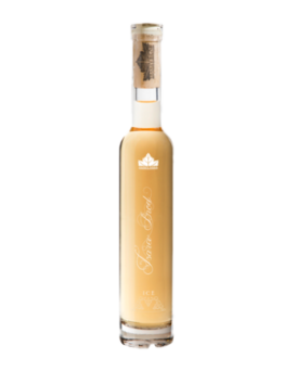 Ice Gergana Tsarev Brod